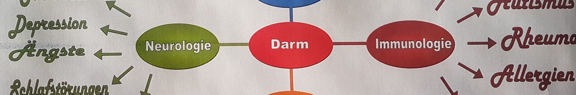 Kein Leben ohne sie: Die Bakterien.-